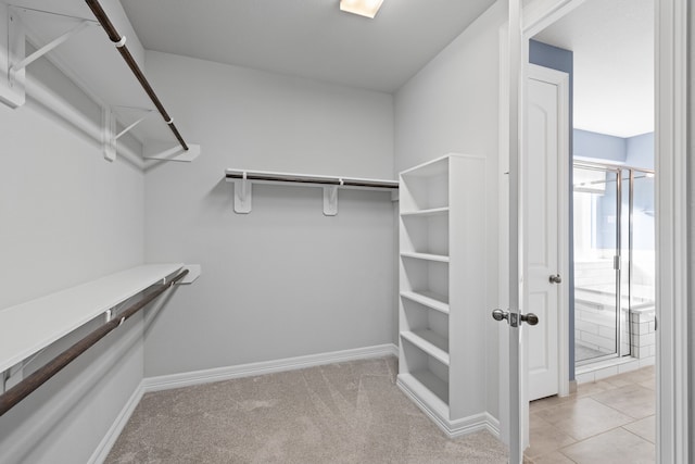 spacious closet with light carpet