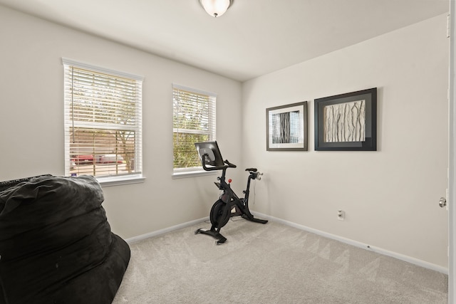 exercise area featuring light colored carpet