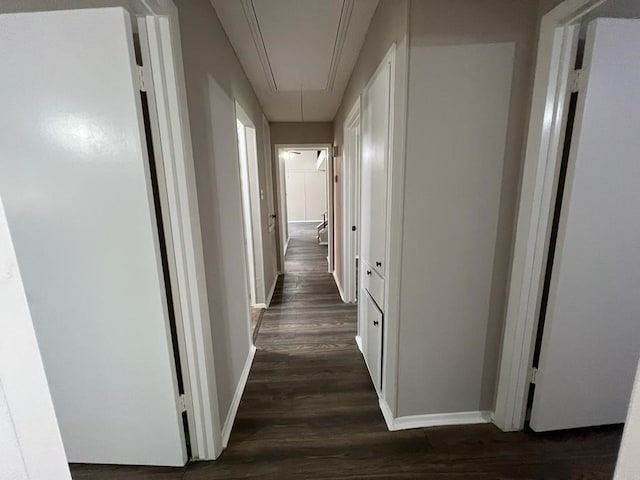 hallway featuring dark hardwood / wood-style flooring