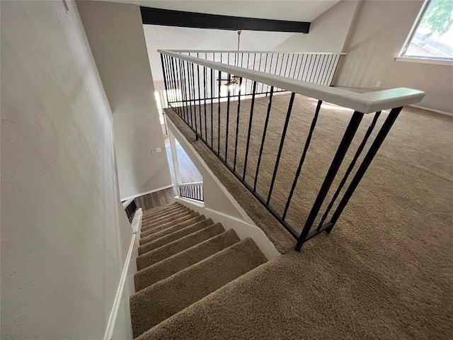 stairway with beamed ceiling and carpet