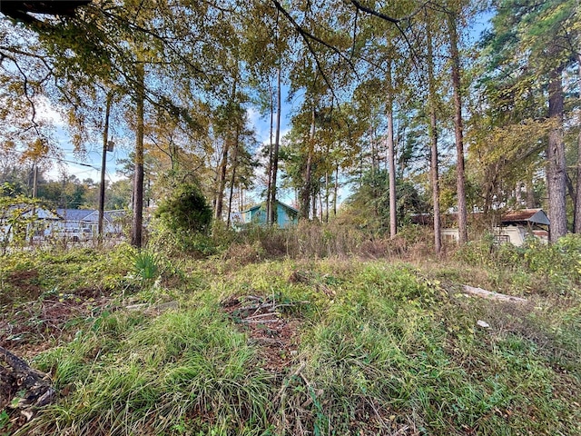 Listing photo 3 for LOT2 Walkwood Dr, Willis TX 77318