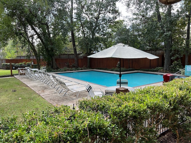 view of pool featuring a patio