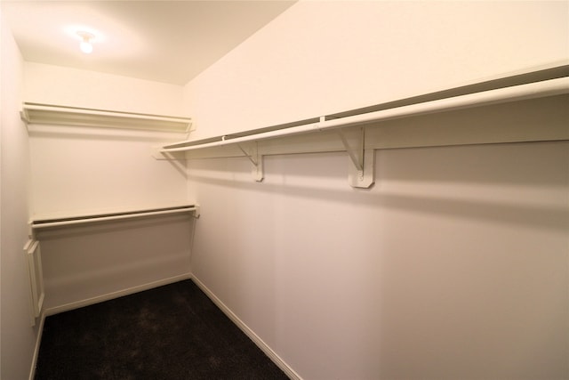 walk in closet with carpet