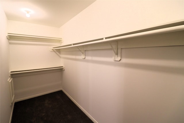 2304 Eagles Way, Pearland, TX 77581 - spacious closet with dark colored carpet