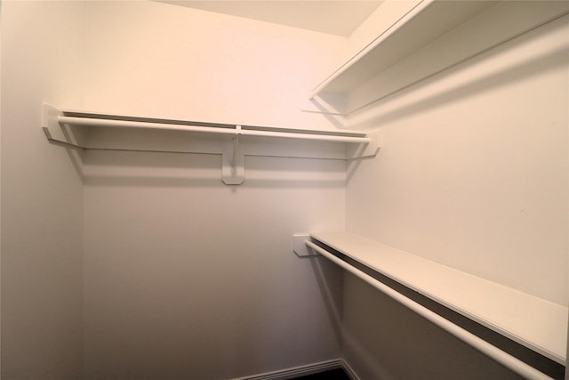 view of walk in closet