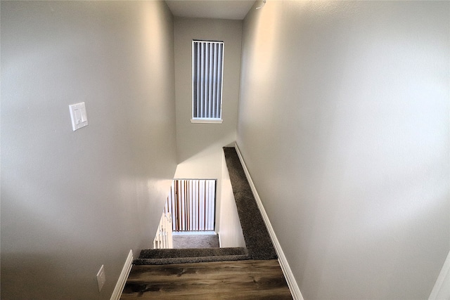 stairway with hardwood / wood-style floors