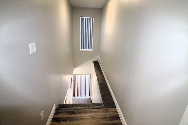 2304 Eagles Way, Pearland, TX 77581 - stairway featuring baseboards and wood finished floors
