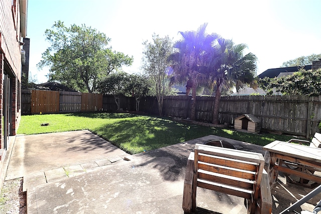 view of yard featuring a patio area