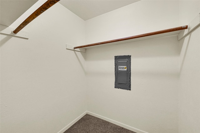 spacious closet with electric panel and carpet