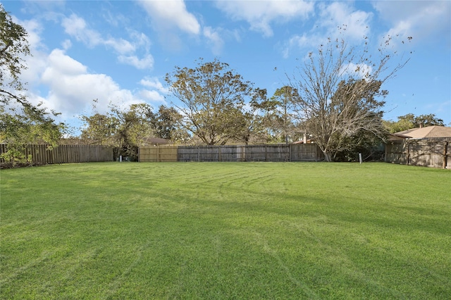 view of yard