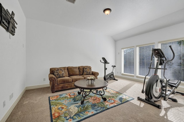 workout area featuring carpet floors and a textured ceiling