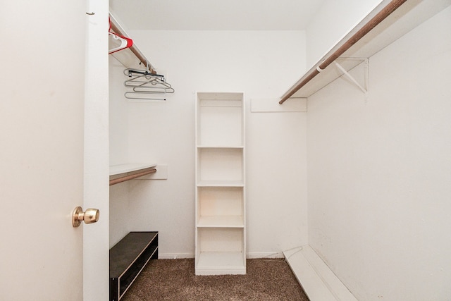 spacious closet featuring dark colored carpet