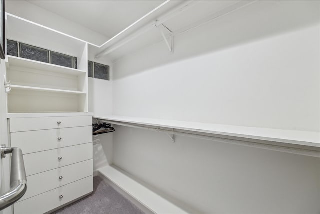 spacious closet with dark carpet