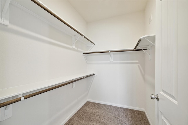 walk in closet with carpet