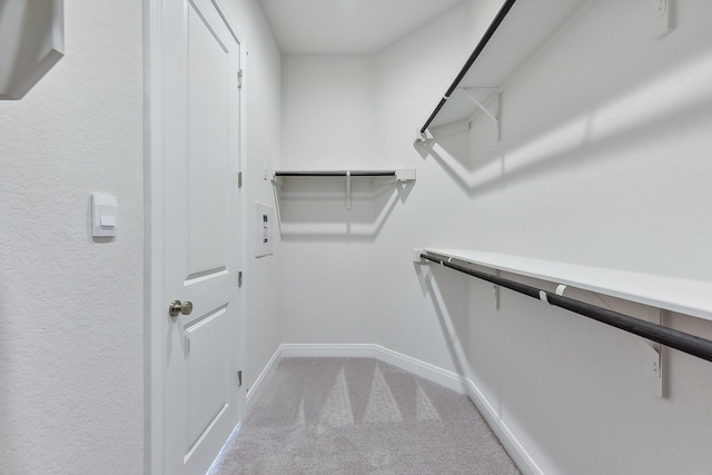 spacious closet featuring light carpet