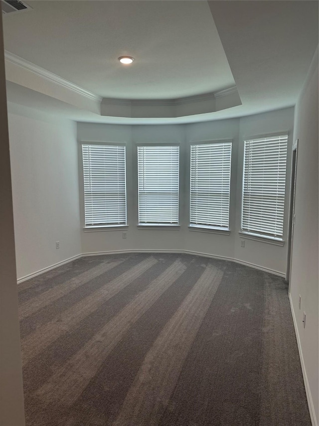 1253 Woodflower Dr, Katy, TX 77493 - spare room featuring a tray ceiling, dark colored carpet, baseboards, crown molding, and healthy amount of natural light