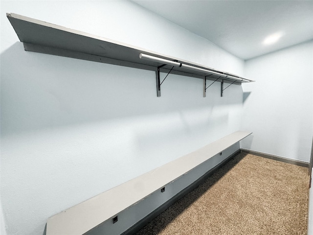 spacious closet with carpet flooring