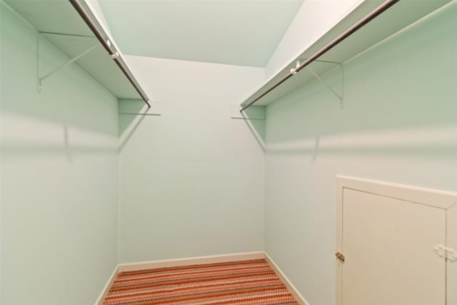 spacious closet featuring carpet floors