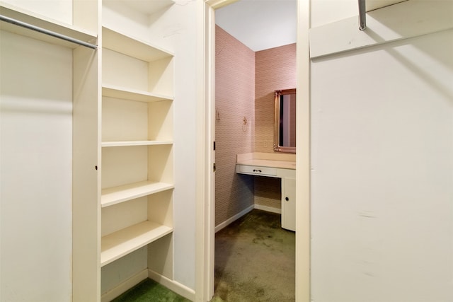 spacious closet with carpet floors