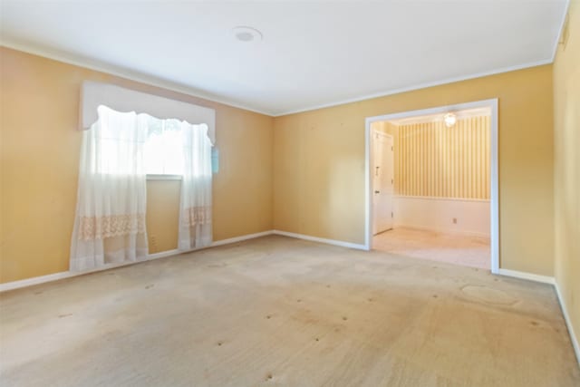 unfurnished room featuring carpet floors and ornamental molding