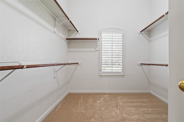 spacious closet with light colored carpet