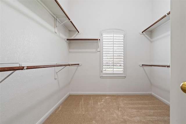 spacious closet featuring light colored carpet