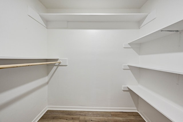 spacious closet with dark hardwood / wood-style flooring