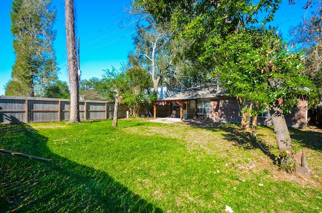 view of yard featuring a patio area