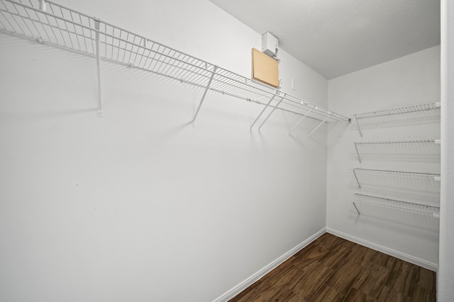 walk in closet featuring dark hardwood / wood-style floors