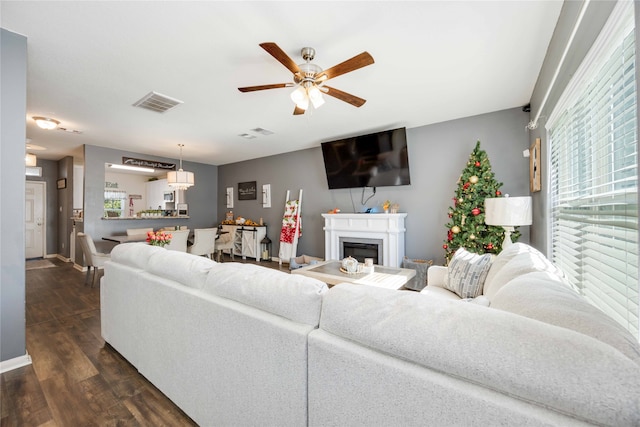 living room featuring ceiling fan and dark hardwood / wood-style flooring