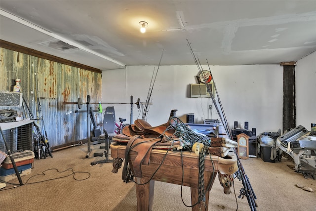 workout area featuring carpet flooring