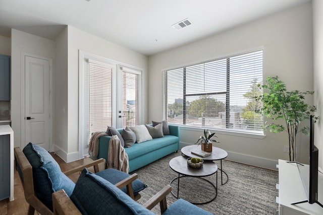 living room with wood-type flooring