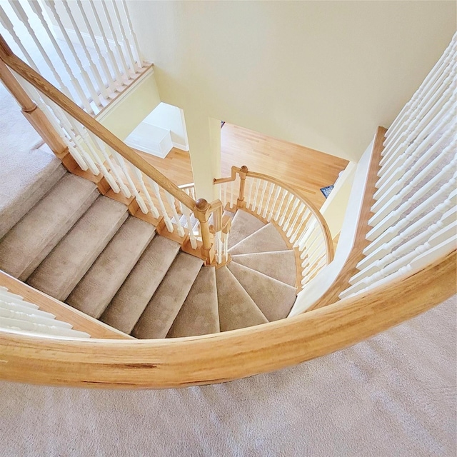 stairway with carpet floors