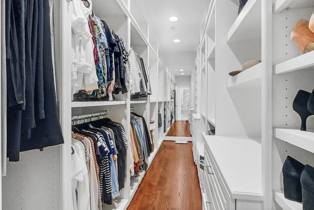 walk in closet featuring wood-type flooring