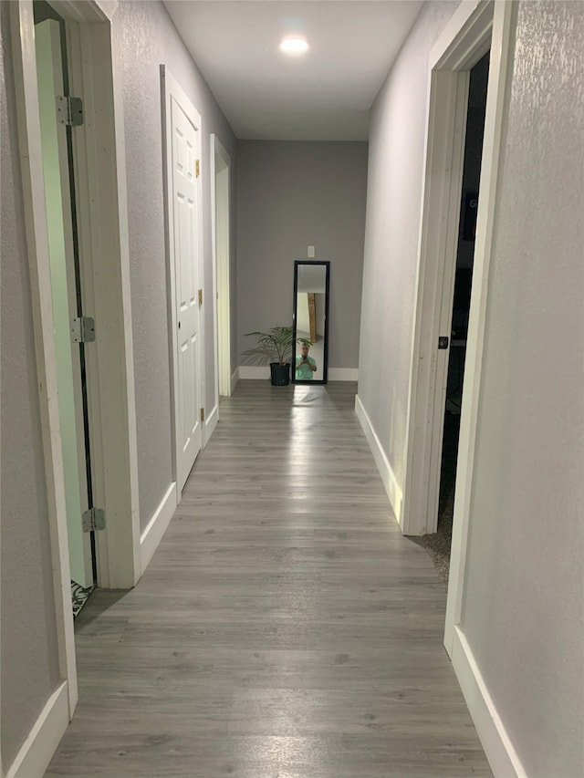 corridor with light hardwood / wood-style flooring