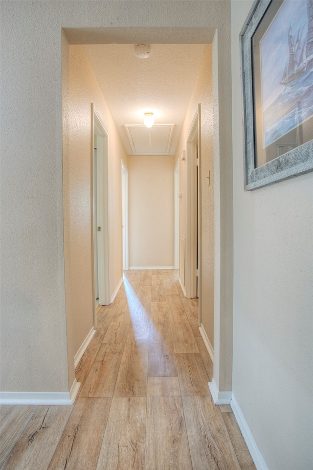 hallway featuring light hardwood / wood-style flooring