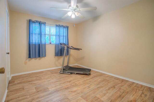 exercise area featuring ceiling fan and light hardwood / wood-style flooring