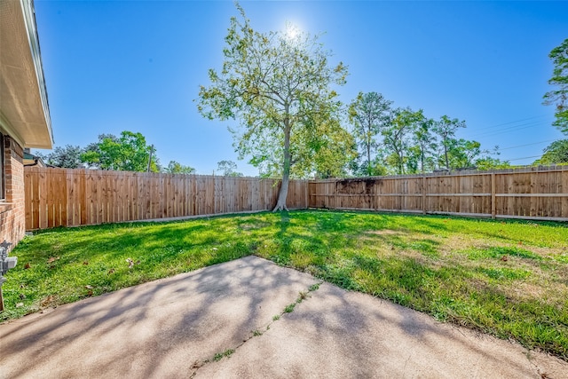 view of yard featuring a patio area