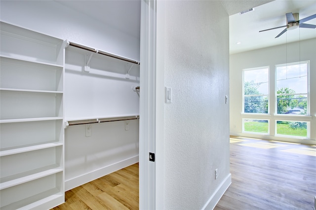 walk in closet featuring ceiling fan and light hardwood / wood-style flooring