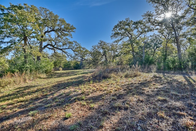 261 Moss Oak Dr, Somerville TX, 77879 land for sale