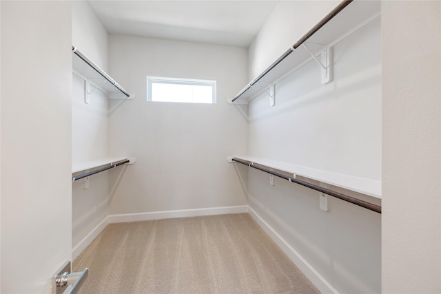 walk in closet with light colored carpet