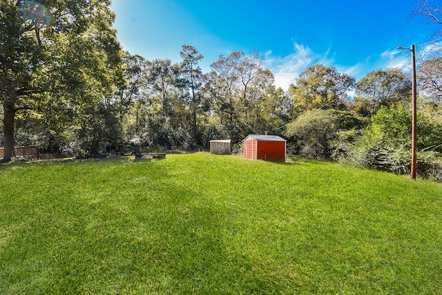 view of yard featuring a storage unit