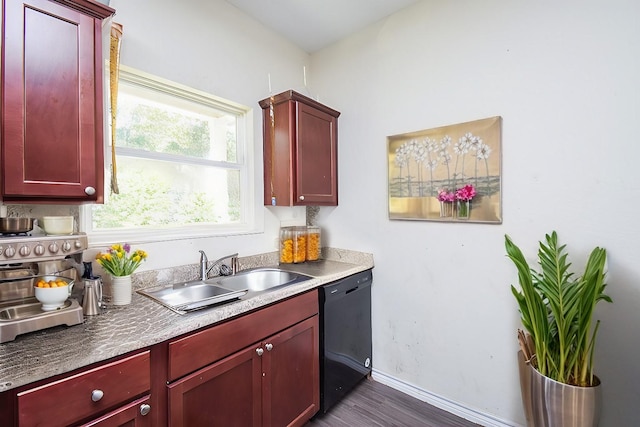 kitchen featuring dishwasher, dark wood-type flooring, and sink