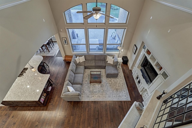 living room featuring a high ceiling, dark hardwood / wood-style flooring, ceiling fan, and crown molding