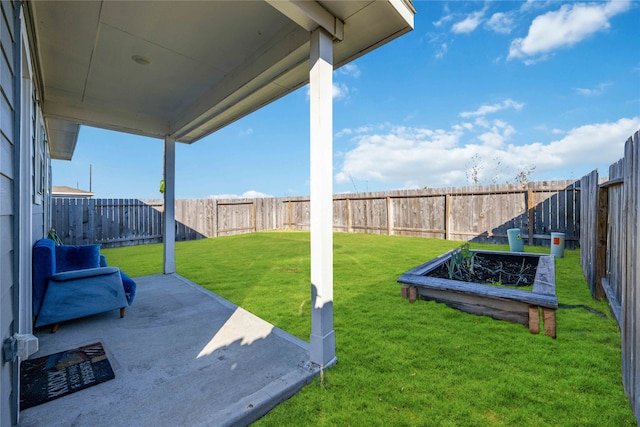 view of yard featuring a patio area