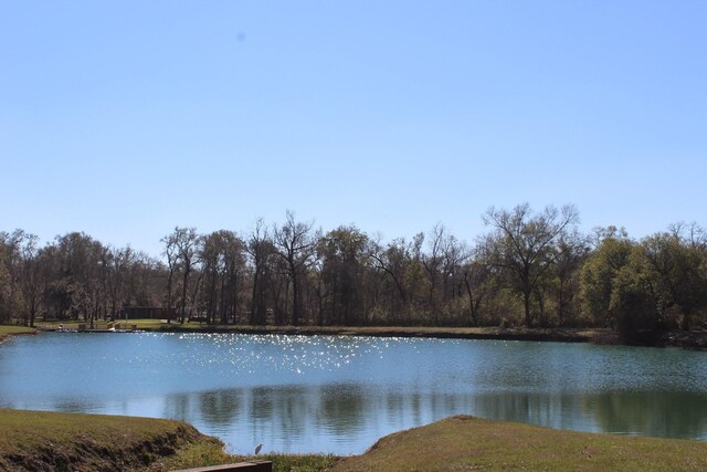 TBD Cypress Lakes Cir, Cleveland, TX 77327 - photo 14