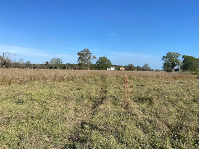 TBD Cypress Lakes Cir, Cleveland, TX 77327 - photo 3