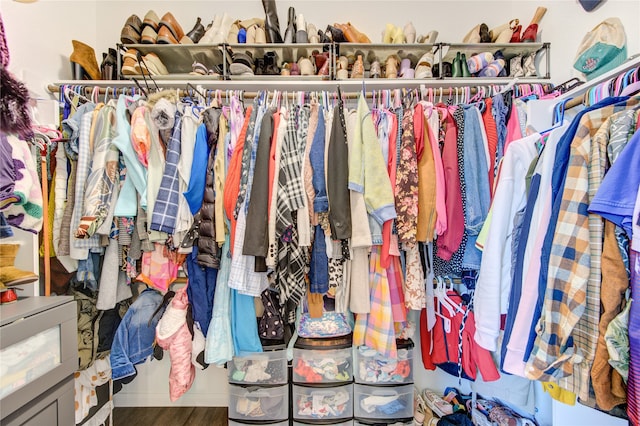 walk in closet with hardwood / wood-style floors