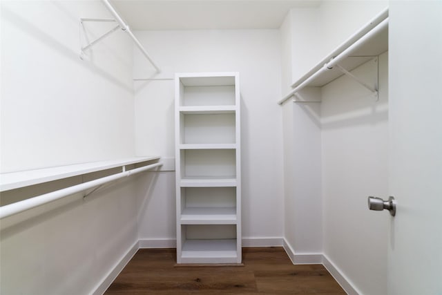 spacious closet with dark hardwood / wood-style flooring