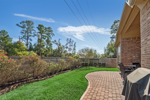 view of yard featuring a patio area